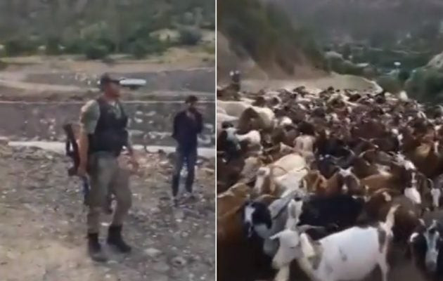 Το τουρκικό καθεστώς σε όλο του το μεγαλείο – Αρπάζουν τις περιουσίες Κούρδων με το «έτσι θέλω» (βίντεο)